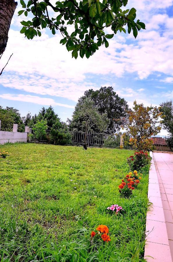 Villa Markić Drvenik  Esterno foto