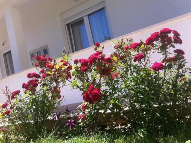 Villa Markić Drvenik  Esterno foto